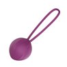 Leigh Kegel Ball Silicone Purple