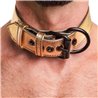 Collar with Leash Bondage Gold