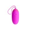 Vibrating Egg Berger Pink