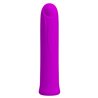 Curtis Bullet Vibrator USB