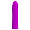 Curtis Bullet Vibrator USB