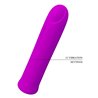 Curtis Bullet Vibrator USB