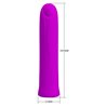 Curtis Bullet Vibrator USB