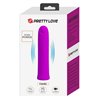 Curtis Bullet Vibrator USB