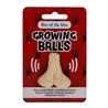 Growing Testicle 4x3 cm