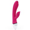 Vibe Dreamer II USB Rose Red