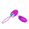 Vibrating Egg Jessica USB Purple