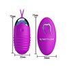 Vibrating Egg Jessica USB Purple