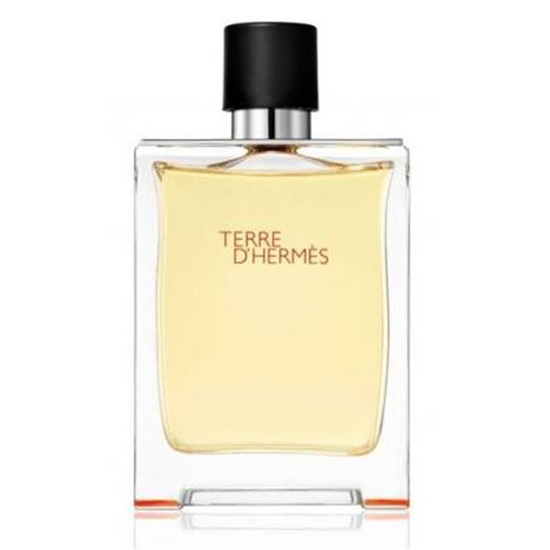 Terre D'Hermes Eau De Toilette Spray 50ml - unisex - Teknashop Ltd