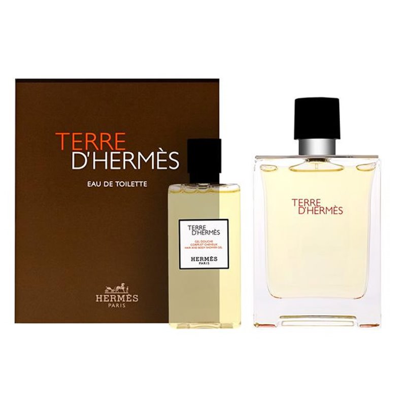 Hermès Terre D´Hermes Eau De Toilette Spray 100ml Set 2 Pieces - unisex