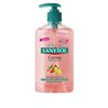 Sanytol Kitchen Hand Soap 250ml - unisex