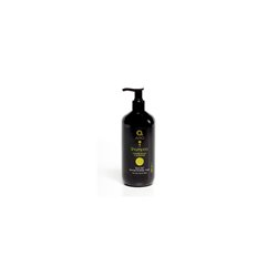 Dermo Afro Champu Mango-Argan 500ml - unisex - Teknashop Ltd