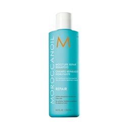 Repair Moisture Repair Shampoo 250ml - unisex