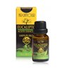 Arganour Eucalyptus Oil Pure 15ml - unisex - Teknashop Ltd