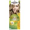 Schwarzkopf Palette Naturals Color Creme 7.0 Medium Blonde - unisex - Teknashop Ltd