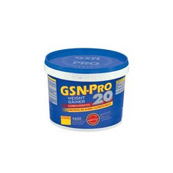 Gsn Pro 20 Chocolate 2,5 Kg - unisex