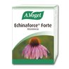 Vogel Echinaforce Forte 30 Comp - unisex