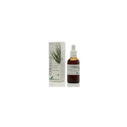 Soria Natural Horsetail Extract SXXI 50ml - unisex