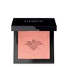 Stendhal Illuminating Blush 300 Rose Jaipur 5.5g - unisex