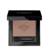 Stendhal Magnifying Eyeshadow 505 Bronze Antique 2.5g - unisex - Teknashop Ltd