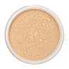 Lily Lolo Mineral Base En Polvos Spf15 Warm Honey Mini 1un - unisex