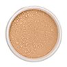 Lily Lolo Mineral Base En Polvos Spf15 Coffee Bean Mini 1un - unisex