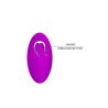 Vibrating Egg Arvin Purple