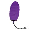 Vibrating Egg with Remote Control Ocean Breeze 2.0 Purple