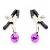 Nipple Clamps with Purple Bell