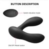 Brett Prostate Massager Remote Control USB Liquid Silicone