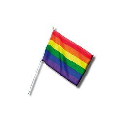 LGBT+ Pride Pennant Small 30 cm