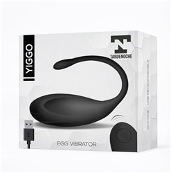 Yiggo Vibrating Egg with Remote Control USB - Teknashop Ltd