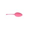 Vibrating Egg Remote Control Sweety Teaser USB 5.7