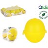 RECIPIENTE CONSERVA LIMONES QLUX