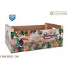 CAJA WOOD BRILLO58X39X21 PARADISE CONFORTIME