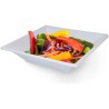 SET-12PLATO H/CUAD.PLAST.PREMI.18CM ALGON