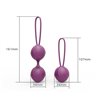 Kelly Kegel Balls Silicone Purple