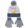 CONJUNTO 2 PIEZAS LOONEY TUNES PIOLIN GRAY