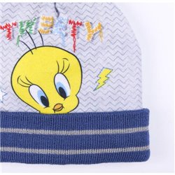 CONJUNTO 2 PIEZAS LOONEY TUNES PIOLIN GRAY