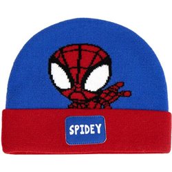 GORRO PUNTO APLICACIONES SPIDEY