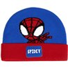 GORRO PUNTO APLICACIONES SPIDEY