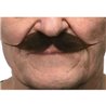 BIGOTE ADULTO TALLA ÚNICA