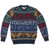 JERSEY PUNTO NAVIDEÑO HARRY POTTER BLUE