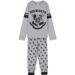 PIJAMA LARGO SINGLE JERSEY HARRY POTTER GRAY