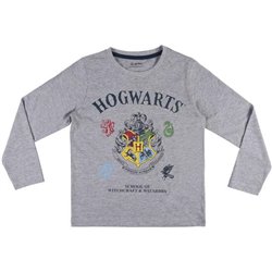 PIJAMA LARGO HARRY POTTER - Teknashop Ltd