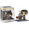 FIGURA POP HARRY POTTER ANNIVERSARY HARRY PUSHING TROLLEY - Teknashop Ltd