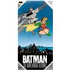 POSTER CRISTAL BATMAN Y ROBIN DC COMICS - Teknashop Ltd