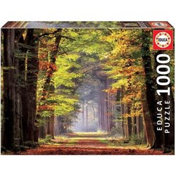 PUZZLE EDUCA 1000 PZS PASEO OTOÑAL - Teknashop Ltd