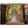 PUZZLE EDUCA 1000 PZS PASEO OTOÑAL - Teknashop Ltd