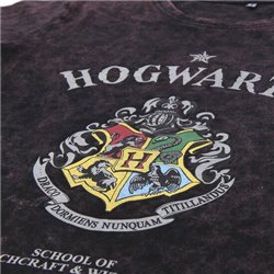 CAMISETA LARGA SINGLE JERSEY HARRY POTTER DARK GRAY - Teknashop Ltd